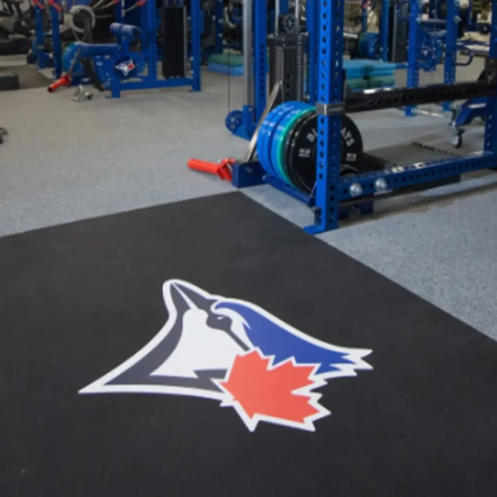 Close-up of a white, blue, and black bird logo with a maple leaf on a black rubber inlaid platform, with the lower sections of two blue racks visible.